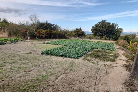Terra a Cepoes, Viseu, Cepoes - € 27.500 | Ref: LMG_4095 - N - foto 7