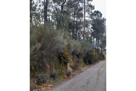 Erhvervsejendom i Cepoes, Viseu, Cepoes - € 12.500 | Ref: LMG_4096 - N - foto 2