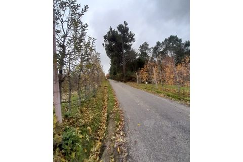 Erhvervsejendom i Cepoes, Viseu, Cepoes - € 12.500 | Ref: LMG_4096 - N - foto 3