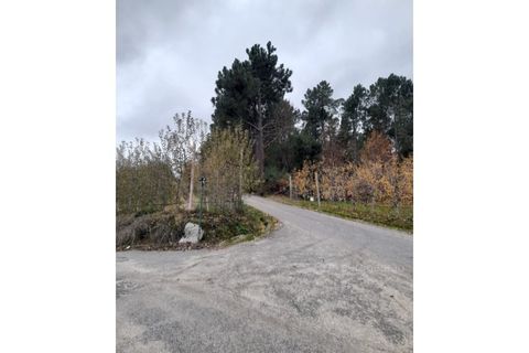 Erhvervsejendom i Cepoes, Viseu, Cepoes - € 12.500 | Ref: LMG_4096 - N - foto 4