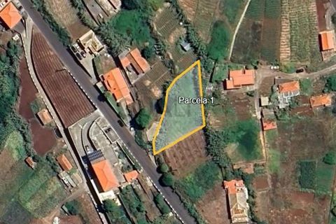 Helårsgrund i Ponta do Sol, Madeira, Ponta do Sol - € 100.000 | Ref: Q2653 - foto 3