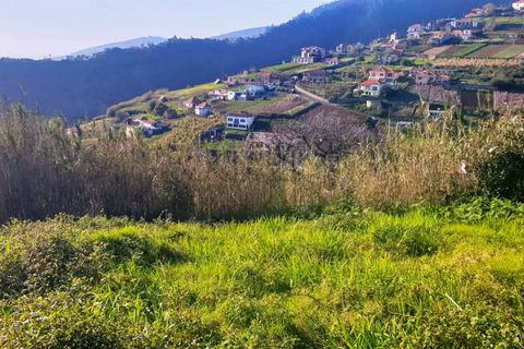 Helårsgrund i Ponta do Sol, Madeira, Ponta do Sol - € 100.000 | Ref: Q2653 - foto 4