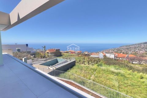 Villa i Calheta, Madeira, Calheta - € 895.000 | Ref: 1450 - foto 42