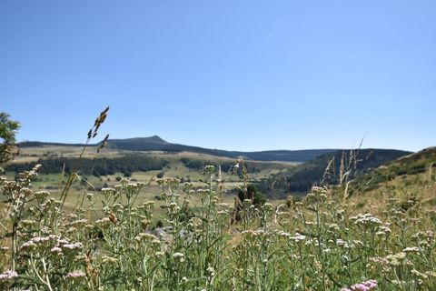 Landejendom i Chaudeyrolles, Haute-Loire, Chaudeyrolles - € 130.000 | Ref: 340934503303 - foto 5