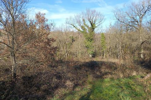 Helårsgrund i Mirandol-Bourgnounac, Tarn, Mirandol-Bourgnounac - € 36.208 | Ref: 12019403490 - foto 1