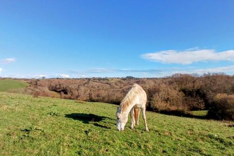 Villa a Ossages, Landes, Ossages - € 589.000 | Ref: E19C876F08BA4E8E - foto 13