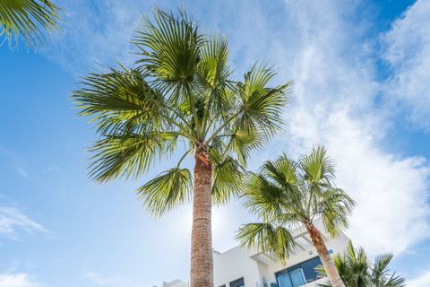 Lejlighed i Javea, Alicante, Javea - € 510.000 | Ref: ELI1154 - foto 2