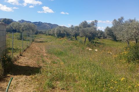 Finca i Ginestar, Tarragona, Ginestar - € 120.000 | Ref: S-1595020 - foto 23