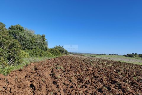 Helårsgrund i Lagos, Faro, Lagos - € 50.000 | Ref: T0550 - foto 1