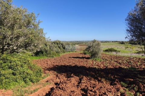 Helårsgrund i Lagos, Faro, Lagos - € 50.000 | Ref: T0550 - foto 2