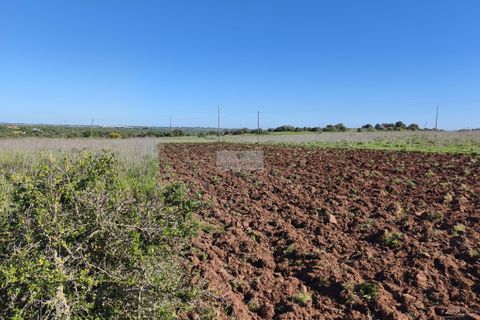 Helårsgrund i Lagos, Faro, Lagos - € 50.000 | Ref: T0550 - foto 3