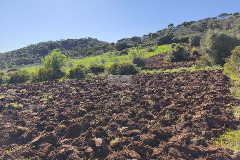 Helårsgrund i Lagos, Faro, Lagos - € 50.000 | Ref: T0550 - foto 4