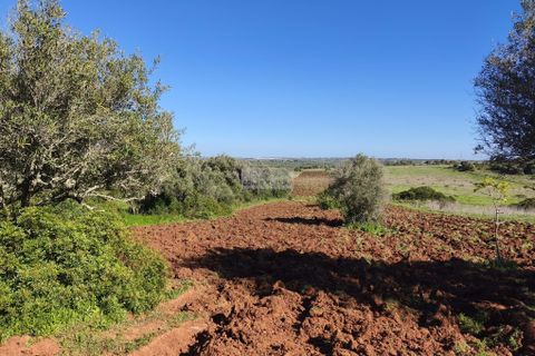 Helårsgrund i Lagos, Faro, Lagos - € 50.000 | Ref: T0550 - foto 9