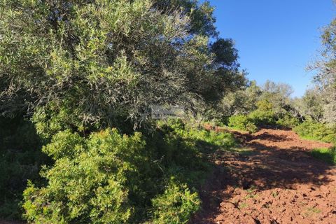 Helårsgrund i Lagos, Faro, Lagos - € 50.000 | Ref: T0550 - foto 12