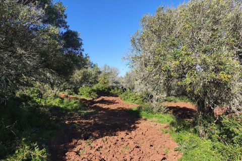 Helårsgrund i Lagos, Faro, Lagos - € 50.000 | Ref: T0550 - foto 13