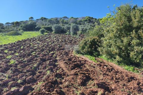 Helårsgrund i Lagos, Faro, Lagos - € 50.000 | Ref: T0550 - foto 14