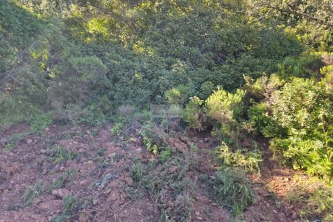 Helårsgrund i Lagos, Faro, Lagos - € 50.000 | Ref: T0550 - foto 15