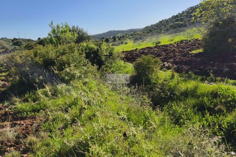 Helårsgrund i Lagos, Faro, Lagos - € 50.000 | Ref: T0550 - foto 16