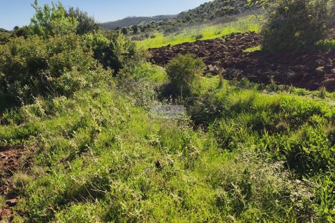 Helårsgrund i Lagos, Faro, Lagos - € 50.000 | Ref: T0550 - foto 17
