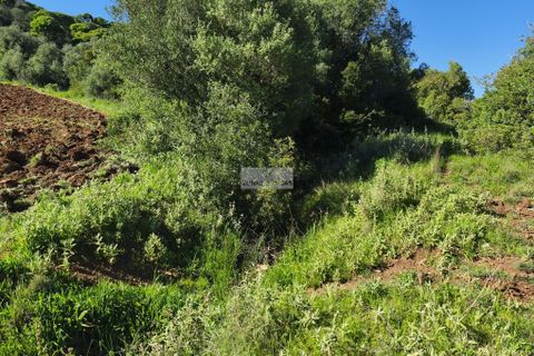 Helårsgrund i Lagos, Faro, Lagos - € 50.000 | Ref: T0550 - foto 18