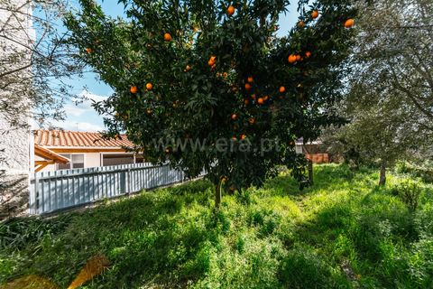 Villa a Gouveia, Guarda, Gouveia - € 49.000 | Ref: 382260031 - foto 22