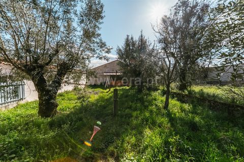 Villa a Gouveia, Guarda, Gouveia - € 49.000 | Ref: 382260031 - foto 23