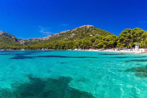 Penthouse i Pollenca, Mallorca, Pollenca - € 695.000 | Ref: POL12101 - foto 15