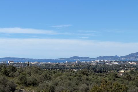 Finca i L'Aranjassa, Mallorca, L'Aranjassa - € 2.450.000 | Ref: FALC-ViSc-83316 - foto 29