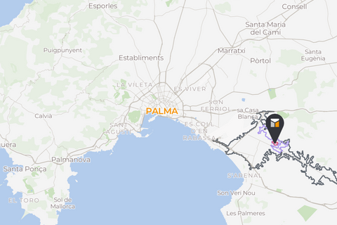 Finca i L'Aranjassa, Mallorca, L'Aranjassa - € 2.450.000 | Ref: FALC-ViSc-83316 - foto 31