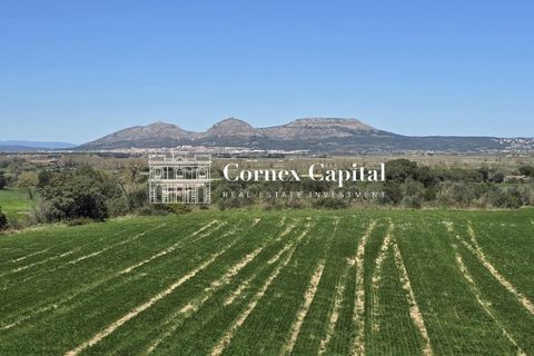 Rækkehus i Pals, Gerona, Pals - € 1.170.000 | Ref: MASOS-1 - foto 12