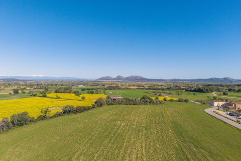 Rækkehus i Pals, Gerona, Pals - € 1.170.000 | Ref: MASOS-1 - foto 17