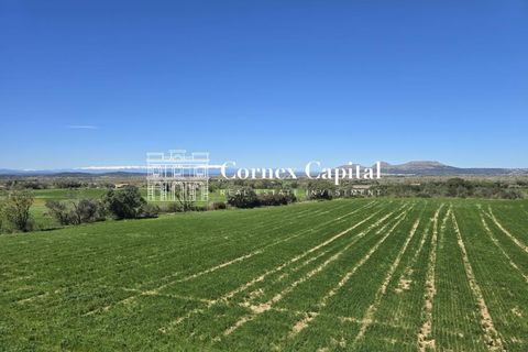 Rækkehus i Pals, Gerona, Pals - € 1.195.000 | Ref: MASOS-2 - foto 10