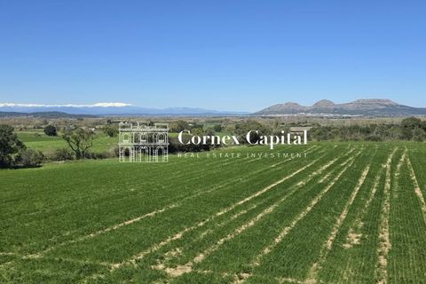 Rækkehus i Pals, Gerona, Pals - € 1.195.000 | Ref: MASOS-2 - foto 11