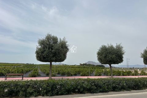 Wohnung in Algorfa, Alicante, Algorfa - € 850/Monat | Ref: AP0216 - Foto 28