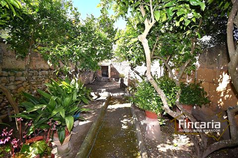 Villa i Manacor, Mallorca, Manacor - € 450.000 | Ref: FM-2078 - foto 21