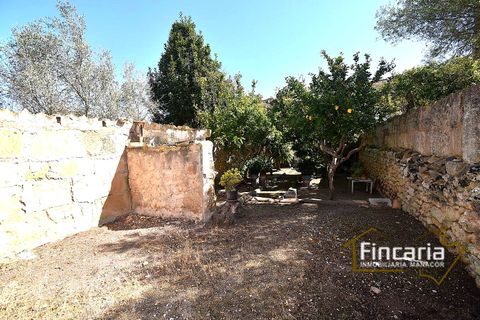 Villa i Manacor, Mallorca, Manacor - € 450.000 | Ref: FM-2078 - foto 23