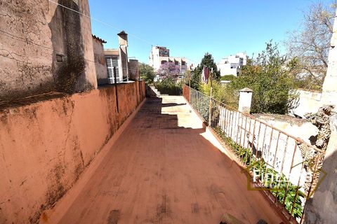 Villa i Manacor, Mallorca, Manacor - € 450.000 | Ref: FM-2078 - foto 36