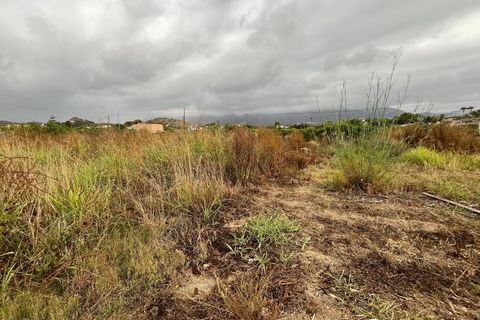 Tomt i Altea, Alicante, Altea - € 65 000 | Ref: 10097 - foto 5