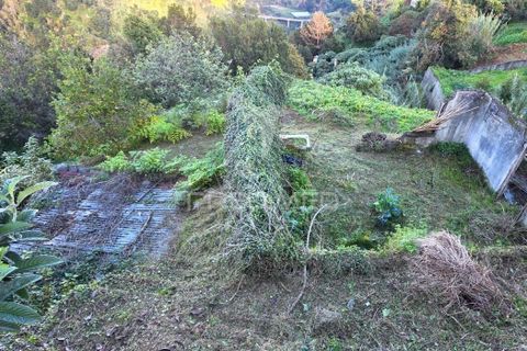 Helårsgrund i Santana, Madeira, Santana - € 135.000 | Ref: 058073 - foto 2