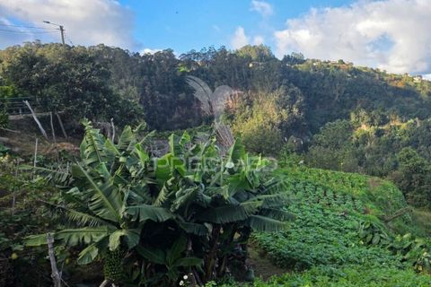 Helårsgrund i Santana, Madeira, Santana - € 135.000 | Ref: 058073 - foto 4