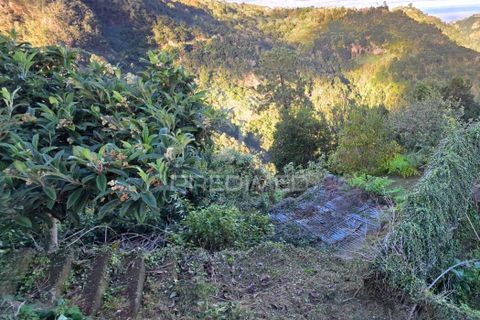 Helårsgrund i Santana, Madeira, Santana - € 135.000 | Ref: 058073 - foto 7