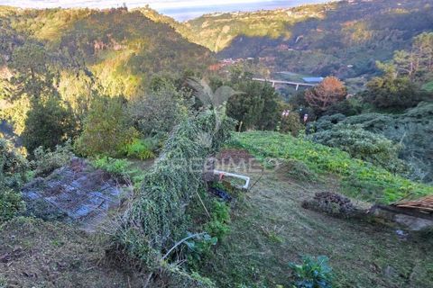 Helårsgrund i Santana, Madeira, Santana - € 135.000 | Ref: 058073 - foto 8