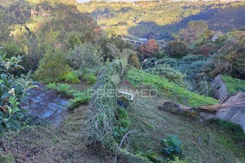 Helårsgrund i Santana, Madeira, Santana - € 135.000 | Ref: 058073 - foto 9