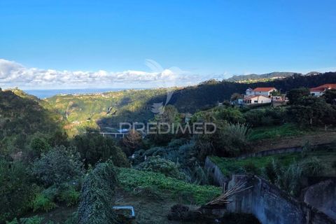 Helårsgrund i Santana, Madeira, Santana - € 135.000 | Ref: 058073 - foto 10