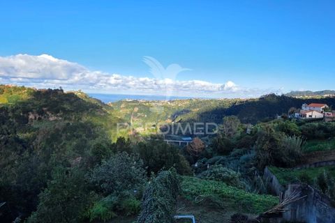 Helårsgrund i Santana, Madeira, Santana - € 135.000 | Ref: 058073 - foto 12