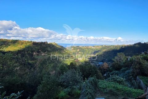Helårsgrund i Santana, Madeira, Santana - € 135.000 | Ref: 058073 - foto 13