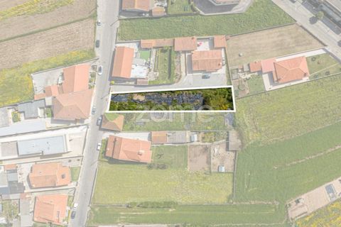 Tomt i Vila do Conde, Porto, Vila do Conde - € 222 900 | Ref: ZMPT587333 - foto 3