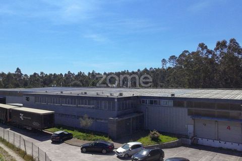 Bungalow i Canidelo, Porto, Canidelo - € 3.200.000 | Ref: ZMPT585954 - foto 14