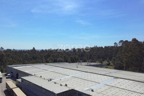 Bungalow i Canidelo, Porto, Canidelo - € 3.200.000 | Ref: ZMPT585954 - foto 15