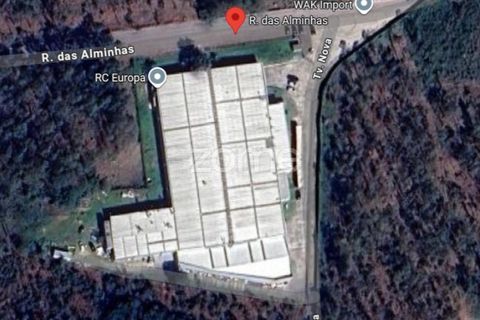 Bungalow i Canidelo, Porto, Canidelo - € 3.200.000 | Ref: ZMPT585954 - foto 17